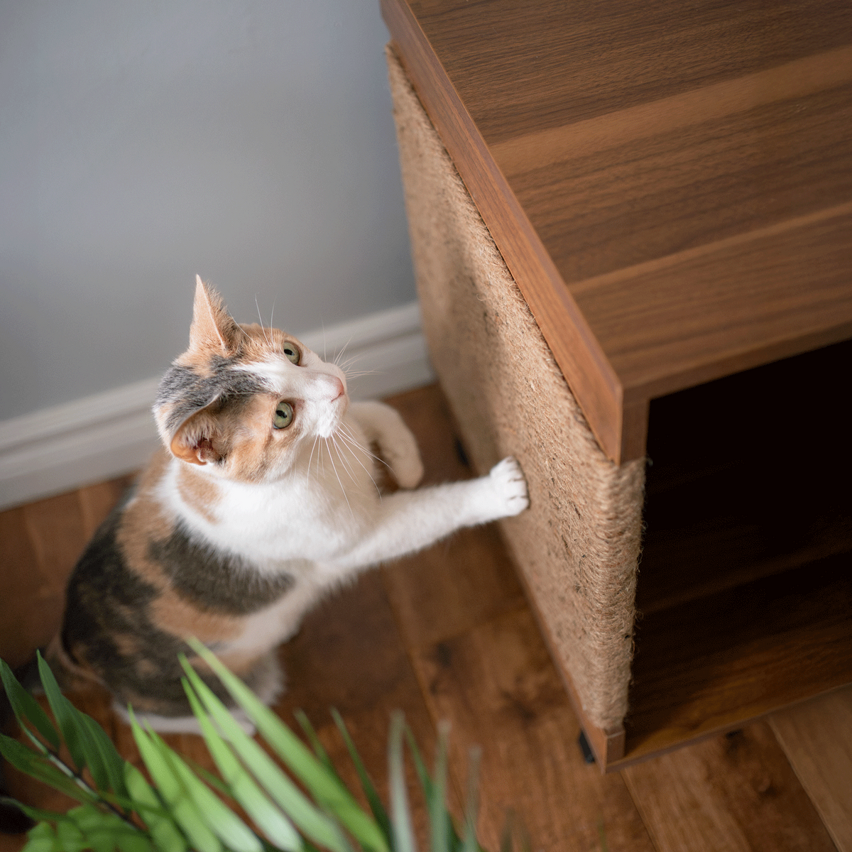猫トイレ収納キャビネット (爪とぎ付き)JESSIE
