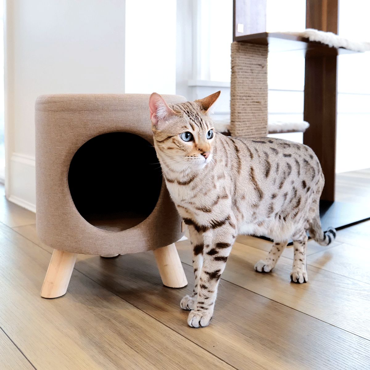 猫用隠れ家付き スツール Wallie