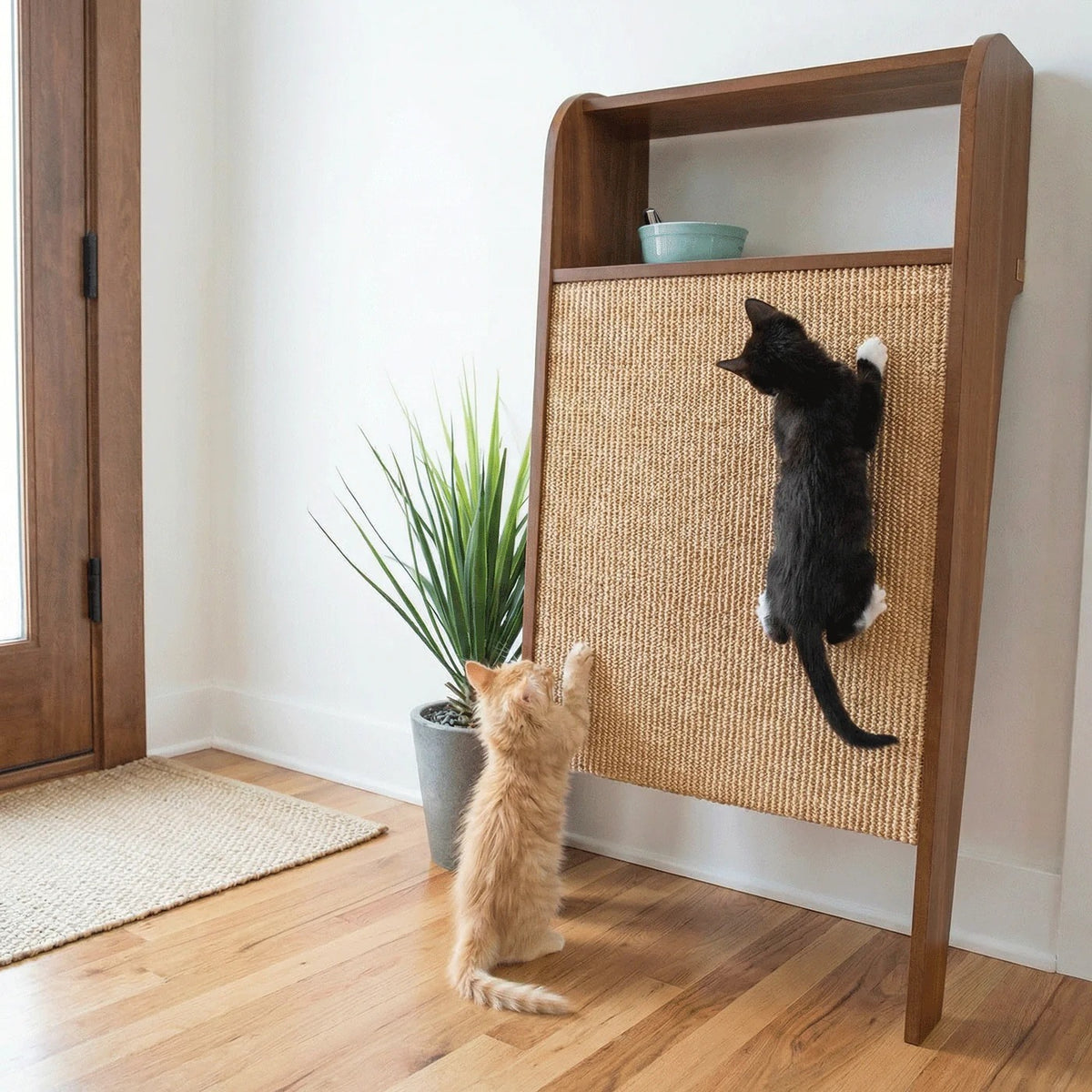 壁掛け式 猫用爪とぎ シェルフ Wesley